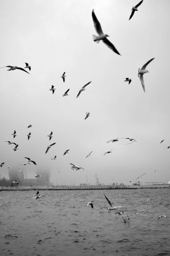 Galeria de Teste - 01 - Apagar